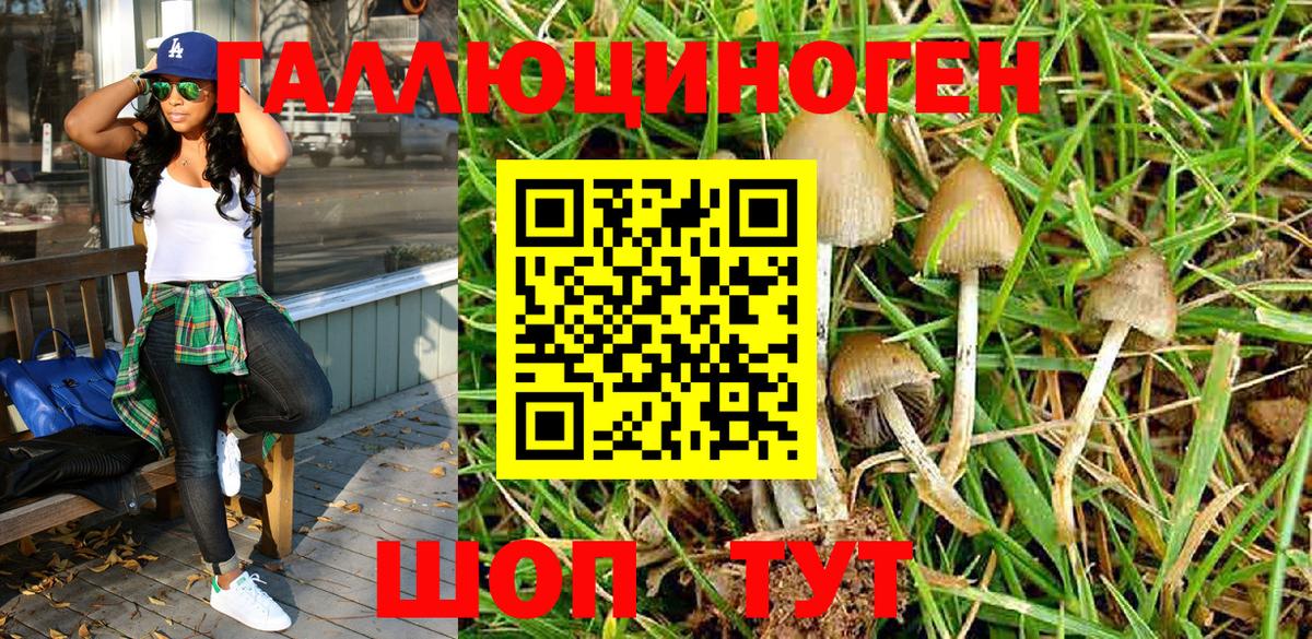 Галлюциногенные грибы Cubensis  Галлюциногенные грибы MAGIC MUSHROOMS  Вход с VPN  Коряжма 