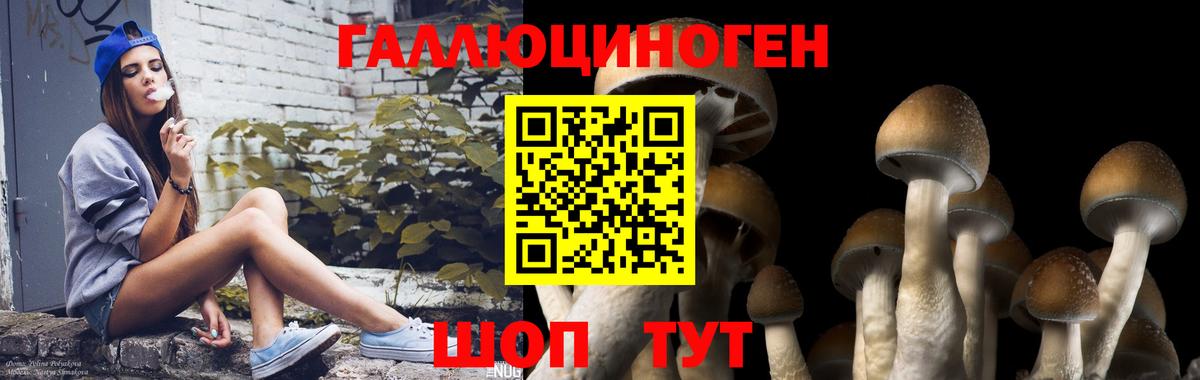 Галлюциногенные грибы GOLDEN TEACHER Коряжма